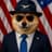 Official DogeWLFI Coin