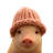 pig wif hat