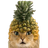 Pineapple Cat