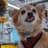 Qubit The Quantum Dog
