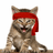 Red Kitten Crew