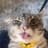 Rigby The Cat
