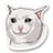 SAD MEOW