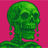 SKELETON