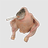 Smoking Chicken Fish