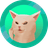 Smudge Cat