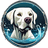 Splash Dog