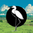 Stork