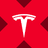 Tesla xStock