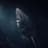 The Greenland Shark