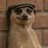 The Meerkat Meme