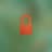 The Orange Era
