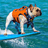 The Surfing Frenchie