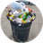 Trash Coin