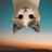 UpSide Down Cat