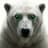 White Polar Bear