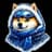 Winter Doge