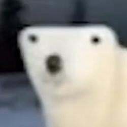 ber