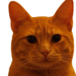 Bitcoin Cat