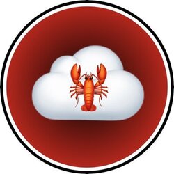 ClawCloudX