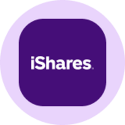 iShares Core MSCI EAFE ETF (Ondo Tokenized ETF)