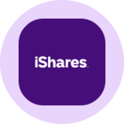 iShares MSCI India ETF (Ondo Tokenized)