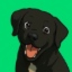 Luca Netz's Dog
