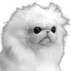 Monkey Cat