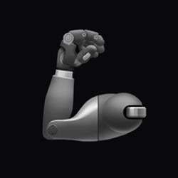 rentahuman