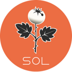 Sol The Trophy Tomato