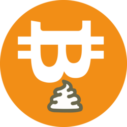 THE FINAL BITCOIN