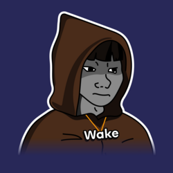 Wakehacker by Virtuals