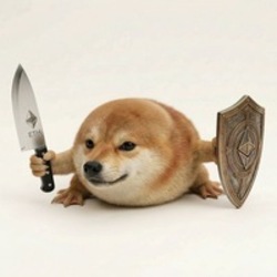 What the dog doing?